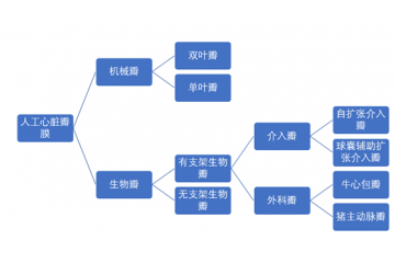 人工心臟瓣膜行業(yè)細(xì)分產(chǎn)品介紹（附報告目錄）