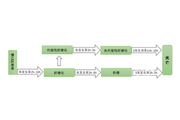 中國系全球乙肝病毒中高度流行區(qū)，用藥市場規(guī)模大（附報告目錄）