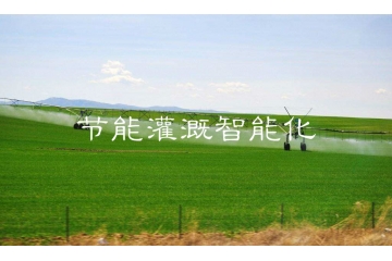 農(nóng)田灌溉智能化行業(yè)趨勢及風險特性（附報告目錄）