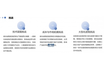 碳化硅陶瓷渣漿泵行業(yè)：現狀、挑戰(zhàn)與機遇
