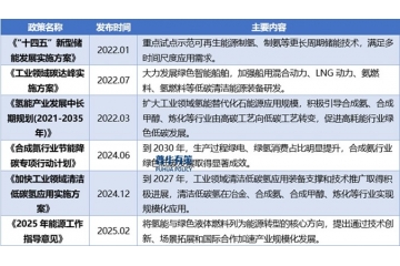 展望2025年綠氫產(chǎn)業(yè)：破局低碳未來(lái)的新引擎
