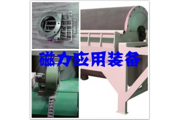 磁力應用裝備行業(yè)主要細分市場領先企業(yè)分析（附報告目錄）