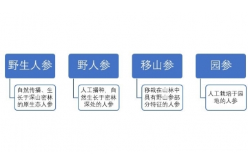 人參行業(yè)概況與區(qū)域結構分析（附報告目錄）