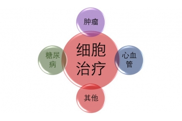 細(xì)胞治療行業(yè)一波三折仍不斷發(fā)展中（附報告目錄）