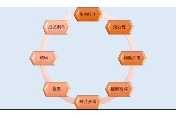 生物科學儀器行業(yè)應(yīng)用前景分析（附報告目錄）