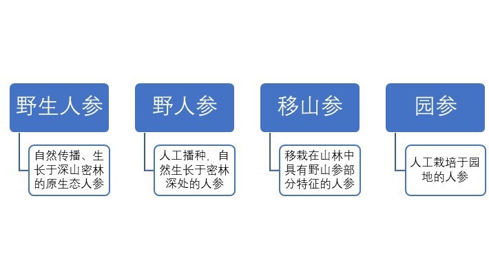 2020-2026年國(guó)內(nèi)外參種植及加工業(yè)前景預(yù)測(cè)報(bào)告(圖1)