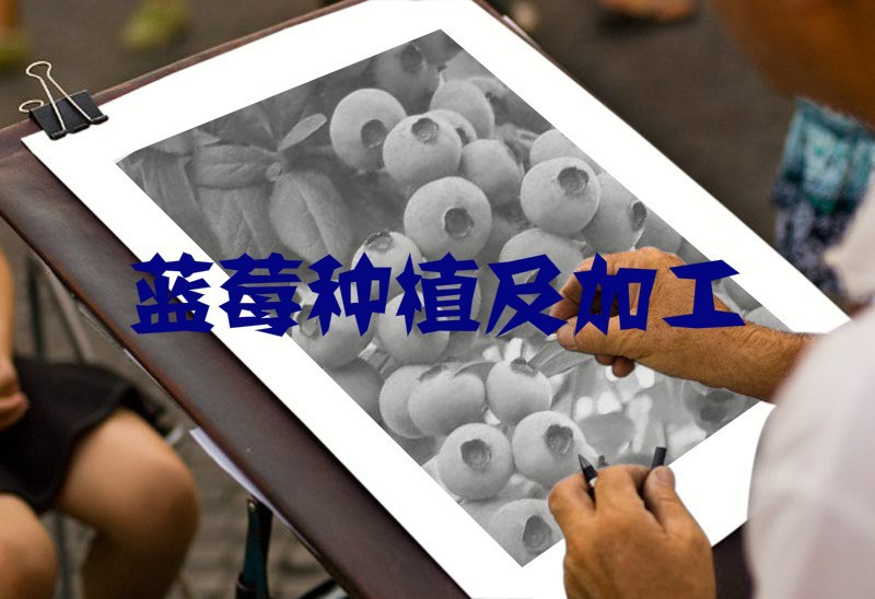 制約我國藍莓行業(yè)因素與市場化程度分析（附報告目錄）(圖1)