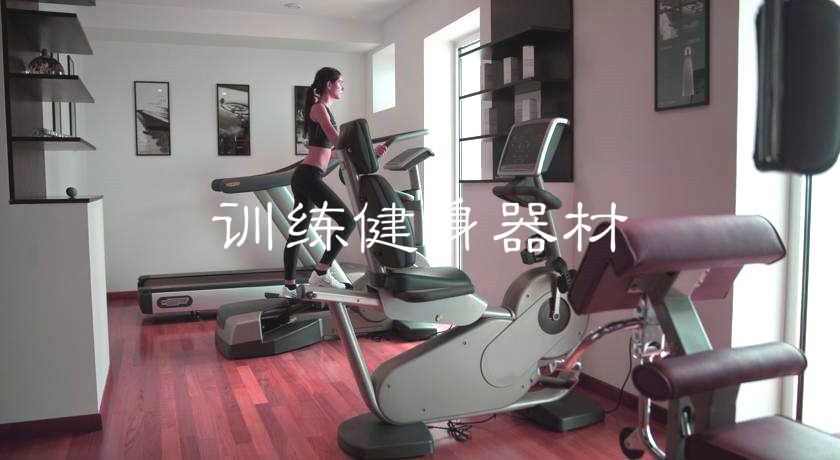 2020-2026年訓練健身器材行業(yè)市場調查研究及發(fā)展前景預測報告(圖1)