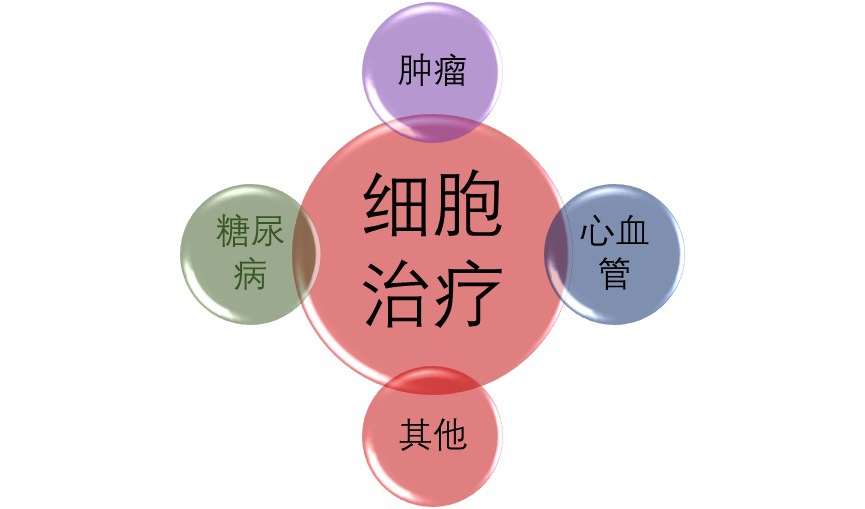 2020-2026年細(xì)胞治療行業(yè)深度調(diào)研及投資前景預(yù)測(cè)報(bào)告(圖1)