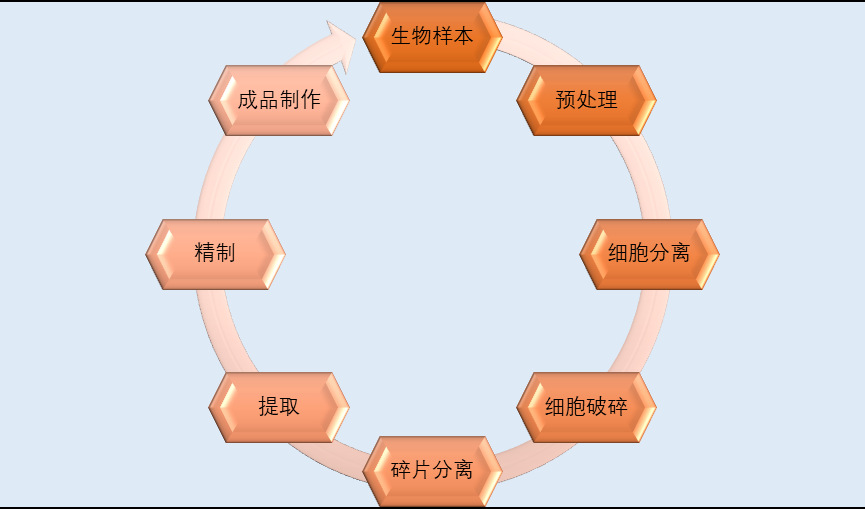 生物科學(xué)儀器行業(yè)應(yīng)用前景分析（附報(bào)告目錄）(圖1)
