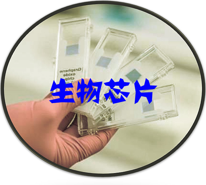2020-2026年中國生物芯片產(chǎn)業(yè)鏈發(fā)展情況及投資可行性研究報告(圖1)